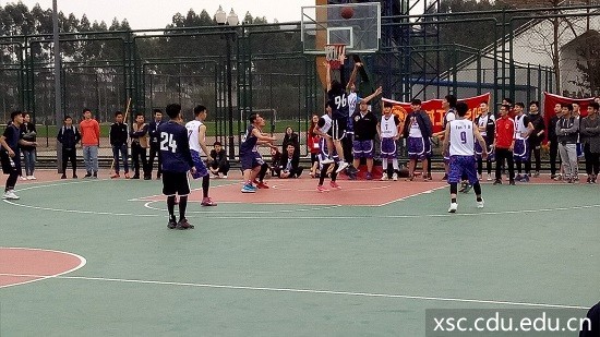 D28936630846E555C585EBBB3EBF29D7.jpg