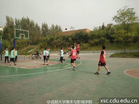 img-cca328bc6ac05ea48a3f5f88d5db3174.jpg