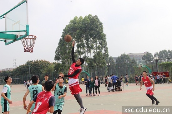IMG_1340 - 副本.JPG IMG_1340 - 副本.JPG